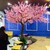 Cây Hoa Anh Đào Giả, Cây Hoa Anh Đào Lụa Sakura, Cây Giả, Cây Lá Xanh, Cây Lá Đỏ