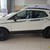 Ford Ecosport Titanium 2017 tại Ford Thanh Hóa