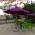 Thanh lí 15 chiếc dù tại TP HCM