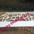 Cầu thang sang trọng cắt CNC