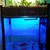 Hệ Mini Aquaponics