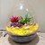 Timeless Terrarium - Thế giới mini trong bình thủy tinh