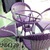 Thanh lý bộ bàn ghế cafe giá rẻ hàng chưa qua sử dụng