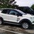 Gợi ý những loại phụ kiện cho xe ford ecosport nên lắp