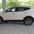 Xe Hyundai Santafe 2016