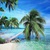 tranh gạch 3d vn88