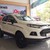 Bán Ford Ecosport 2018 Titanium đủ màu, Hỗ trợ ngân hàng 90 %