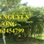 enbac