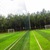 giá thảm cỏ  nhân tạo  sân bóng đá 