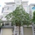Cho-thue-biet-thu-3-tan-1-tum-doi-dien-Kaengnam-Pham-Hung