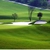 công ty cung cấp cỏ nhân tạo sân golf