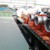 Mới về lô SMRM Sàn phẳng 3 trục 40 feet, tải 32 tấn Doosung giá rẻ nhất