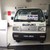 Xe tải suzuki blind van 500kg chạy giờ cấm Duy nhất Suzuki Đại Lợi