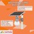 3 ý tưởng thiết kế sân vườn độc đáo cho căn nhà của bạn