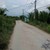 enbac