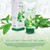 Vacci-sua-rua-mat-tinh-chat-tra-xanh-green-tea-fresh-soothing-foam-cleansing