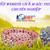 thiet-ke-website-cham-soc-thu-cung