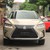 Rx350L 2019 nhập mỹ màu trắng bản 6 chỗ Luxury