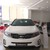 Kia Sorento Giá Ưu Đãi Cuối Năm Cực Shock