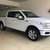 Bán Ford F150 Platinum 2019