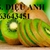 Cây giống kiwi xanh, cây  giống kiwi vàng chất lượng cao