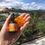 Review-tinh-chat-duong-da-Balance-Active-Formula-Vitamin-C-Power-Serum
