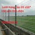 Lưới hàng rào D5 a50*150 sơn tĩnh điện dạng chấn sóng