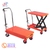 Xe-nang-mat-ban-TT300-tai-trong-nang-300kg