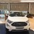 Ford Ecosport 1.5L Titanium AT mới đủ màu giao ngay