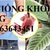 Cây giống khôi nhung, giống khôi tía