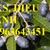 Cung cấp cây giống trám đen chuẩn, số lượng lớn