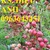 Cung cấp cây giống táo vỏ đỏ ruột đỏ nhập khẩu chuẩn, uy tín