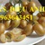 Cung cấp cây giống quất hồng bì chuẩn, uy tín, chất lượng