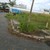 enbac