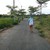 enbac