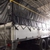 Xe tải Isuzu FVM 3 chân 15 tấn thùng mui bạt dài 9m3