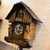 Đồng hồ cuckoo nhà gỗ nhỏ xinh.