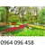 tranh gạch 3d phong cảnh vườn hoa