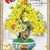tranh cây mai vàng - gạch tranh 3d