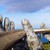 Tour-Da-Nang-Ba-Na-Hills-Hoi-An-Cu-Lao-Cham-4n3d