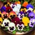 Hạt giống hoa Viola, cánh bướm, Pansy nhiều màu Rạng Đông