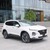 Bảng giá xe Hyundai SANTAFE Tháng 06/2020, Hỗ trợ trả góp 80%