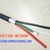 Cap-tin-hieu-Dieu-khien-Sangjin-4Cx0-5mm2-cap-dien-Cu-PVC-PVC-4-x-0-5-mm2-control-cabel