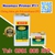 Hợp chất chống thấm Neomax Primer P11 gốc Polyurethane