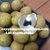 Cung cấp cây giống : Nhãn Hương Chi ( Nhãn Hưng Yên )