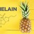 Enzyme-Bromelain