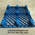 Pallet-nhua-Binh-Thuan-pallet-nhua-gia-re-toan-quoc