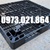 Pallet-nhua-tai-Ba-Ria-Vung-Tau-pallet-nhua-BRVT