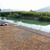view-song