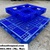 Pallet-nhua-Soc-Trang-gia-thanh-re-giao-hang-tan-noi